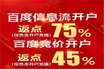 推广竞价策略优化：借鉴成功案例实现精准营销